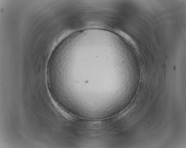 X0000067341431200604131714