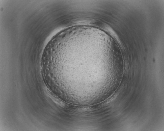 X0000067341435200604131714