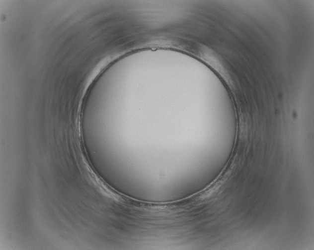 X0000067341436200604131715