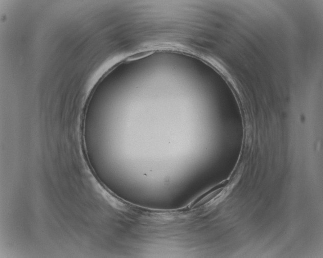 X0000067341438200604131715