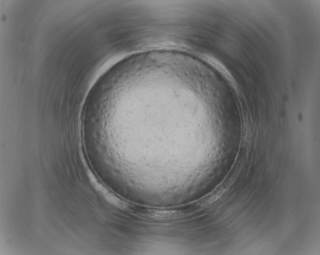 X0000067341439200604131715