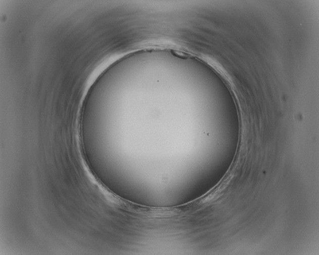 X0000067341440200604131715