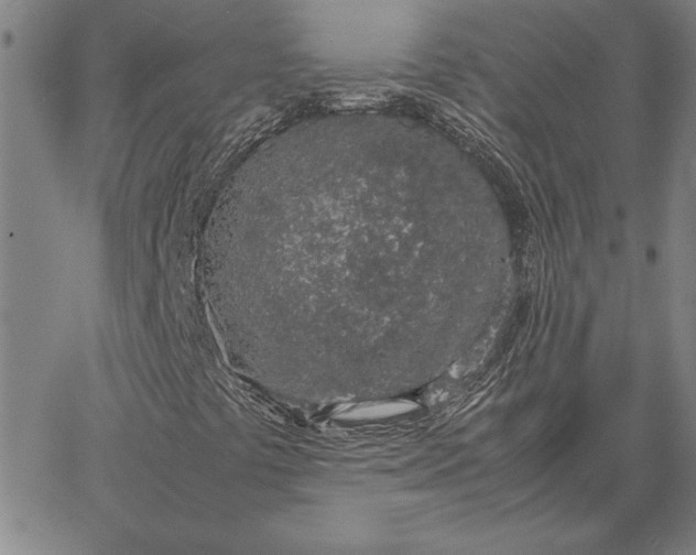 X0000067341441200604131714