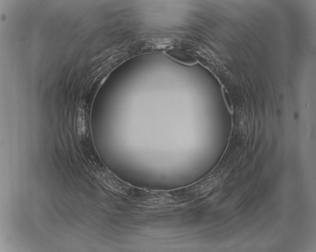 X0000067341442200604131714