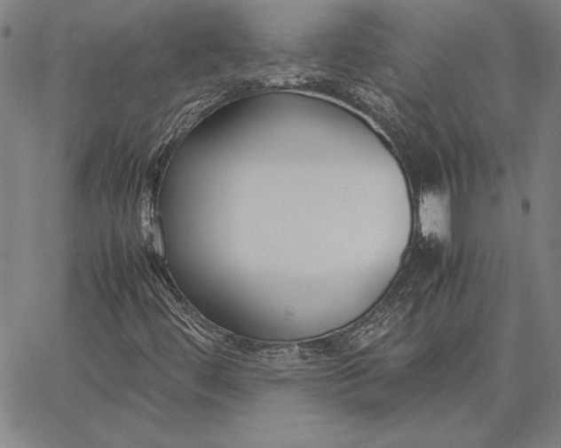 X0000067341444200604131714