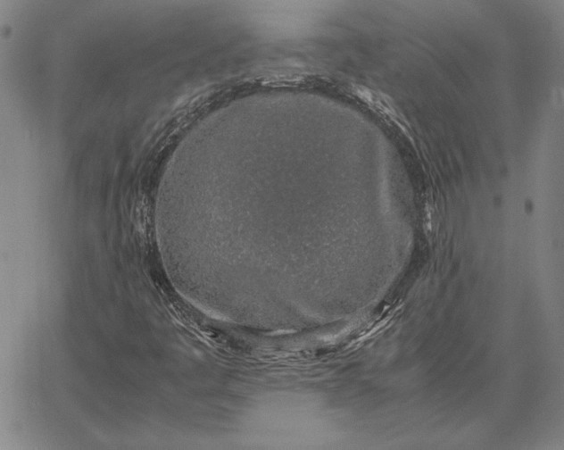 X0000067341445200604131714