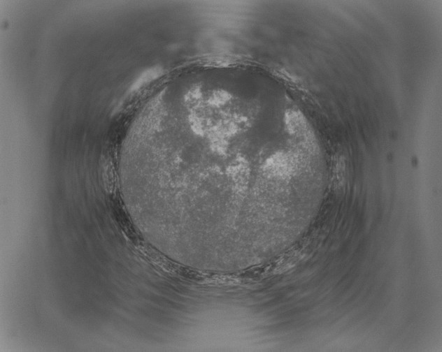 X0000067341446200604131714