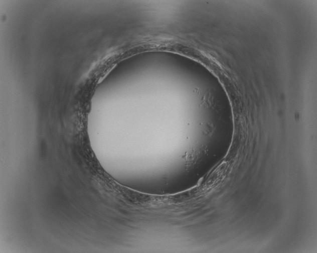 X0000067341447200604131714