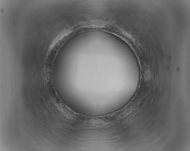 X0000067341448200604131714