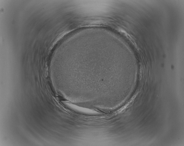 X0000067341449200604131714