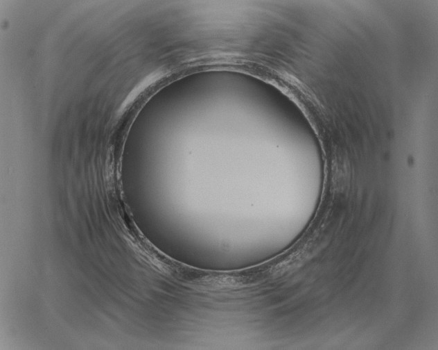 X0000067341450200604131714