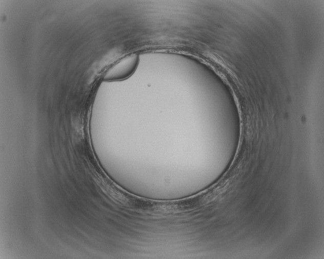 X0000067341451200604131714