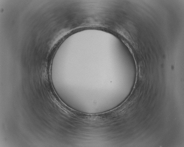 X0000067341452200604131714