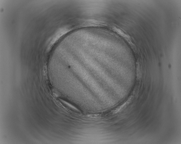 X0000067341453200604131714