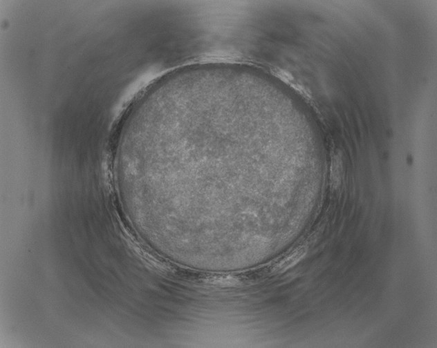 X0000067341454200604131714