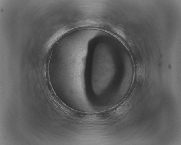 X0000067341455200604131714