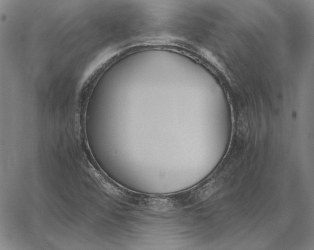 X0000067341456200604131714