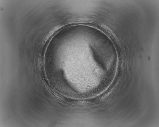 X0000067341457200604131714