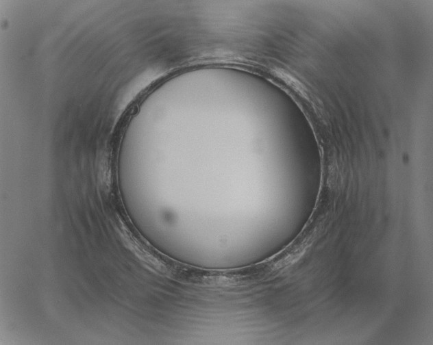 X0000067341458200604131714