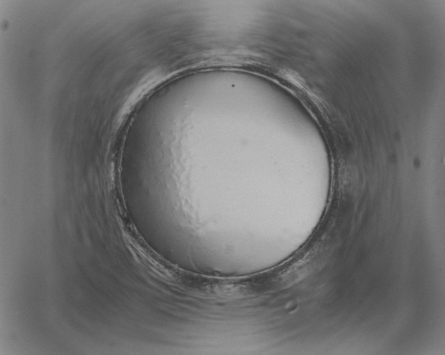 X0000067341459200604131713