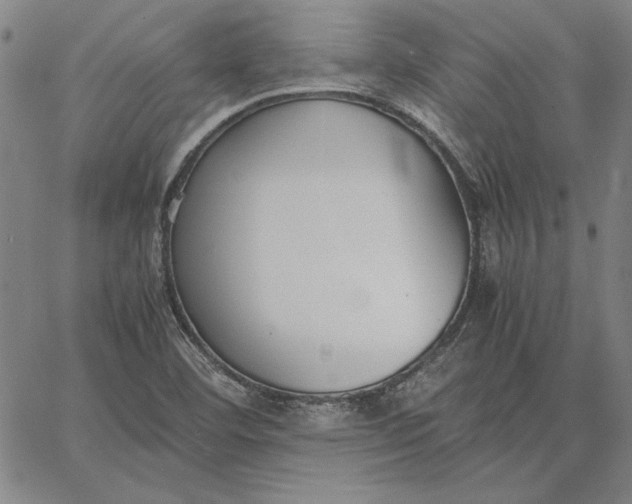 X0000067341460200604131713