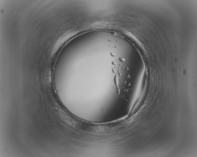 X0000067341461200604131713