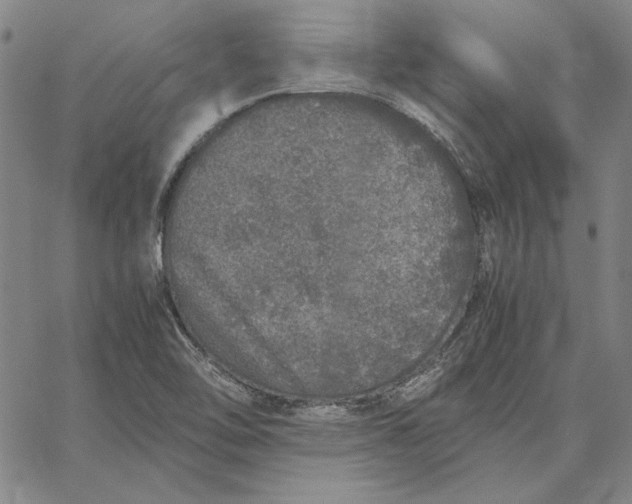 X0000067341462200604131713