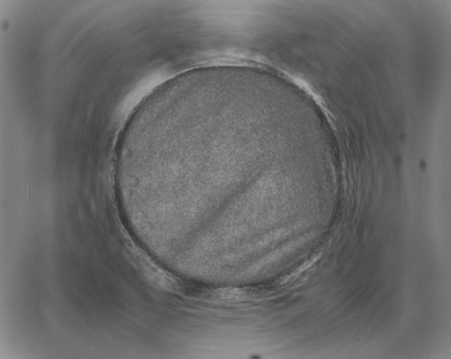 X0000067341463200604131713