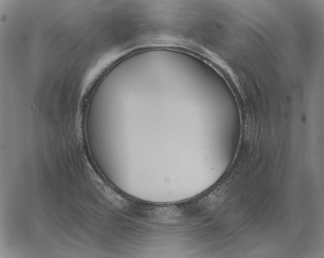 X0000067341464200604131713