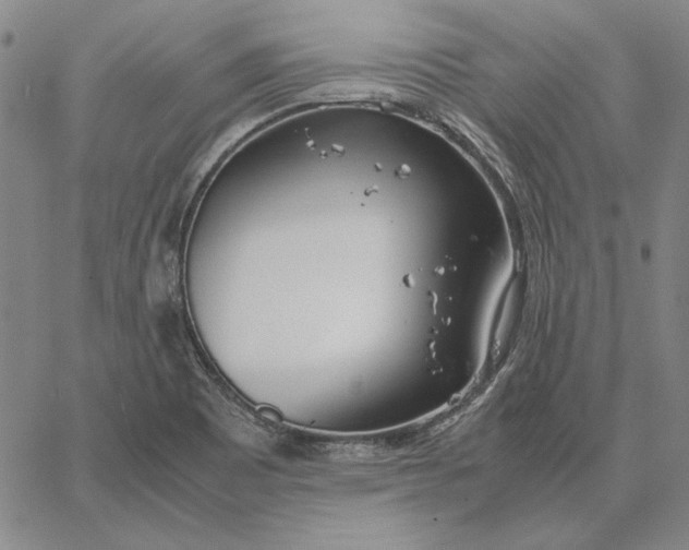 X0000067341465200604131713