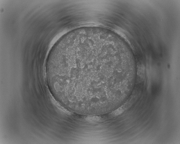 X0000067341466200604131713