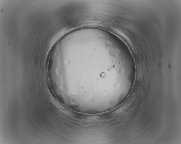 X0000067341467200604131713