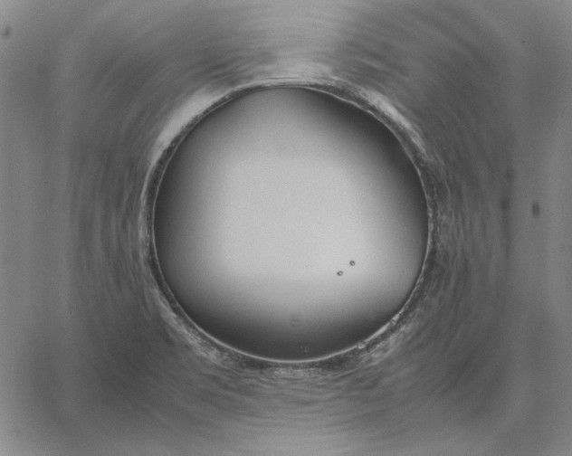 X0000067341469200604131713