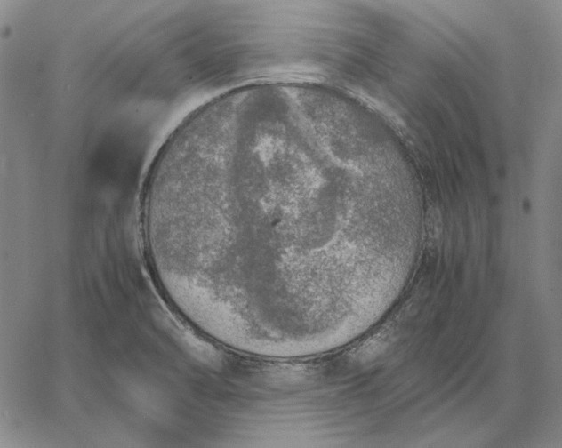 X0000067341470200604131713