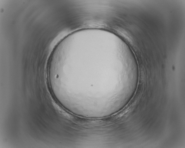 X0000067341471200604131713