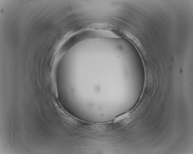 X0000067341473200604131713