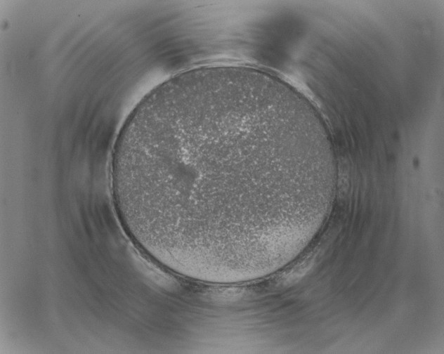 X0000067341474200604131713