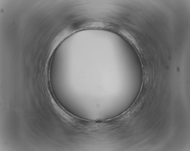 X0000067341475200604131713