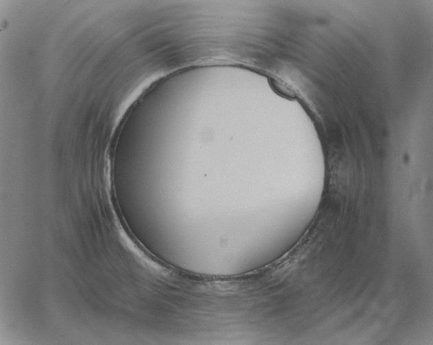 X0000067341476200604131713