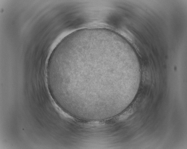 X0000067341478200604131713