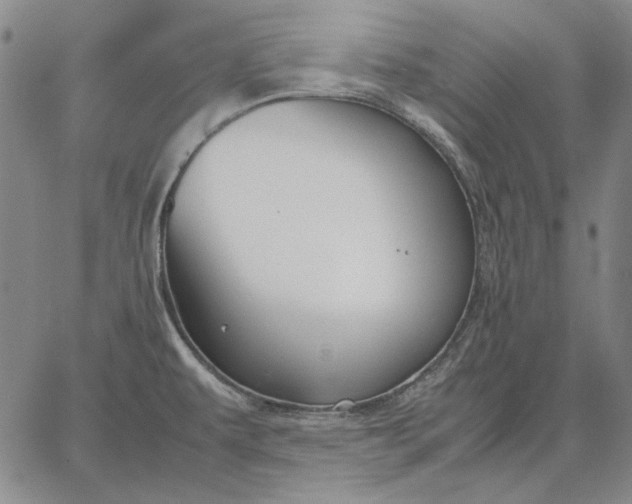 X0000067341479200604131713