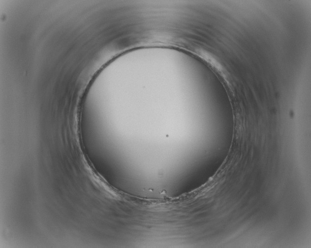 X0000067341480200604131713