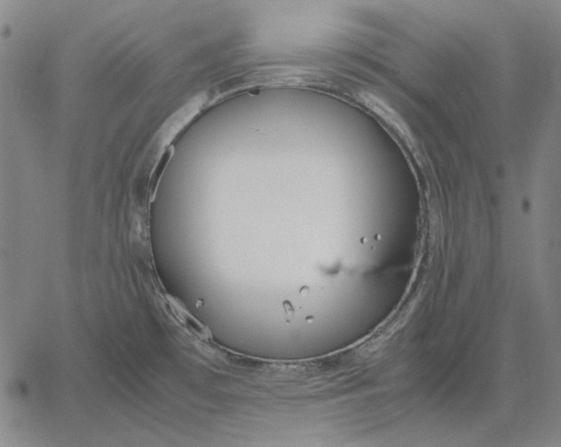 X0000067341481200604131713