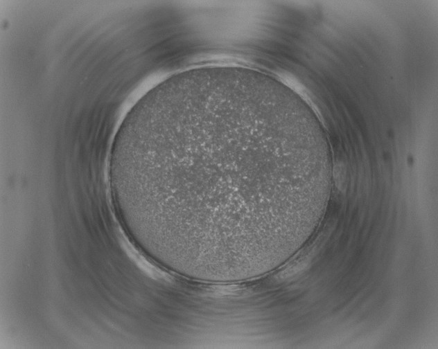 X0000067341482200604131713