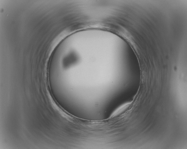 X0000067341483200604131713