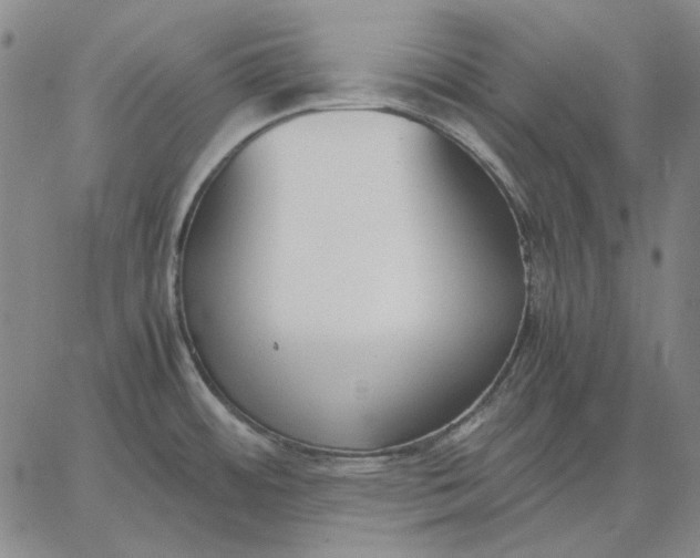 X0000067341484200604131713