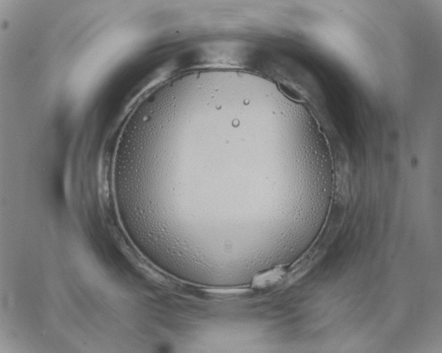 X0000067341487200604131713