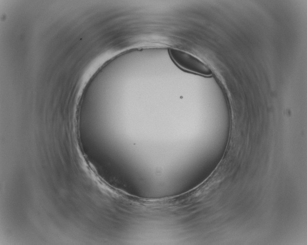 X0000067341488200604131713