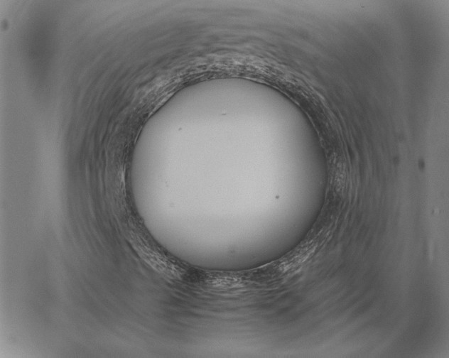 X0000067341489200604131712