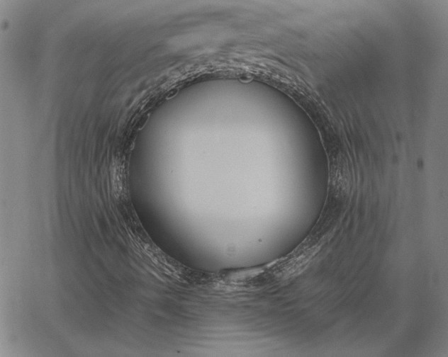 X0000067341490200604131712